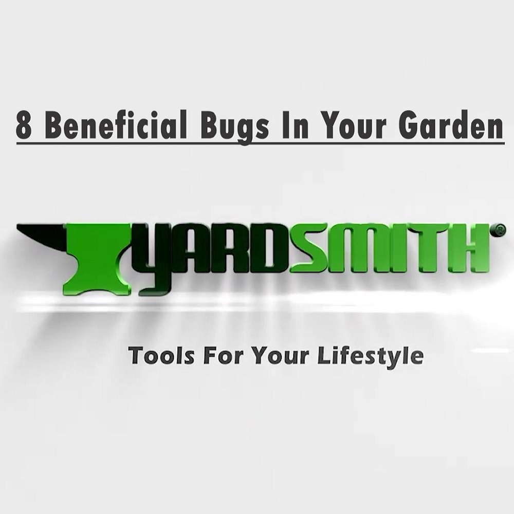8 Beneficial Bugs In Your Garden