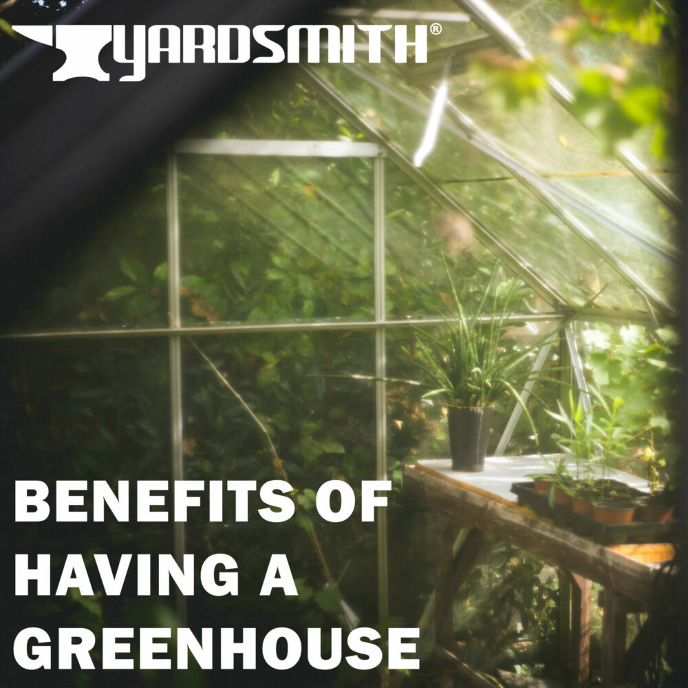 10 Benefits of Having A Greenhouse