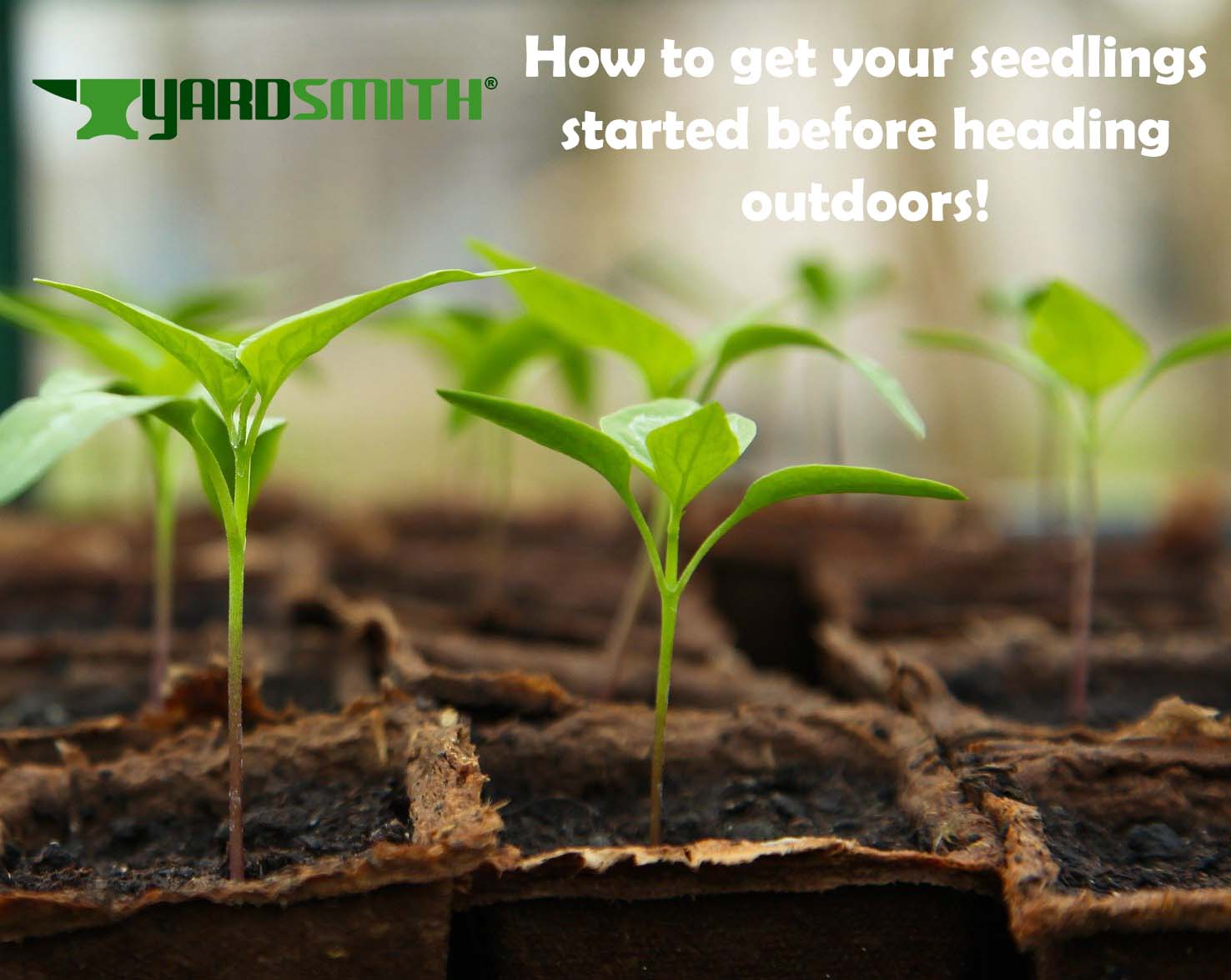 How To Get Your Seedlings Started Before Heading Outdoors